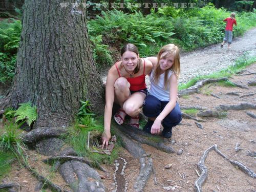 Klicken für Bild in voller Größe