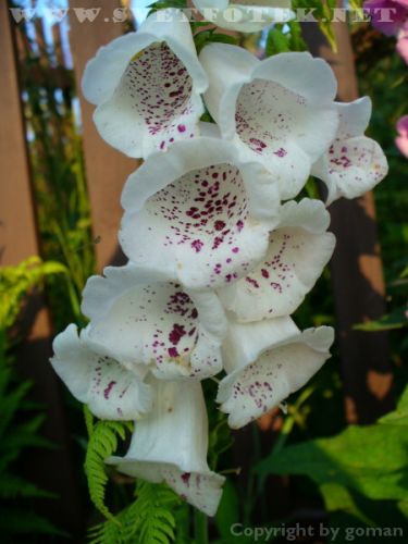 Kliknite pre zobrazenie v plnom rozlíšení