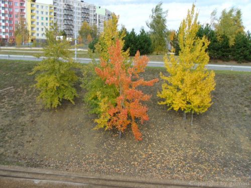 Pulsa aquí para ver la imagen a tamaño completo