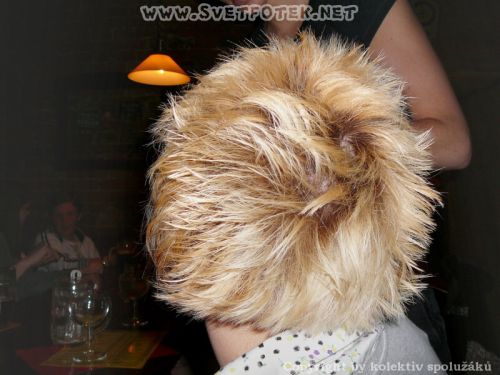 Klikněte pro zobrazení původního obrázku