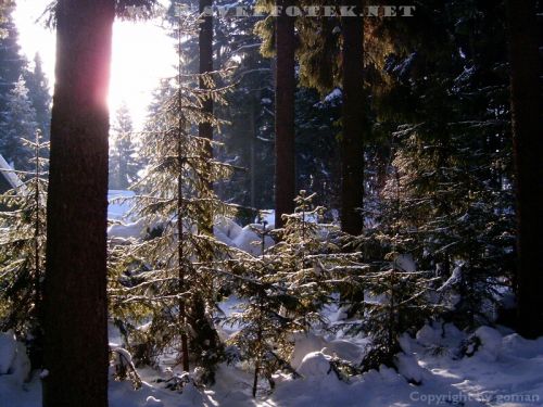 Pulsa aquí para ver la imagen a tamaño completo