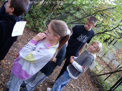 Pulsa aquí para ver la imagen a tamaño completo