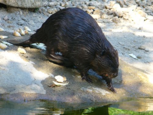 Pulsa aquí para ver la imagen a tamaño completo