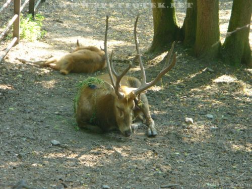 Click to view full size image