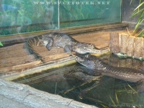 Pulsa aquí para ver la imagen a tamaño completo