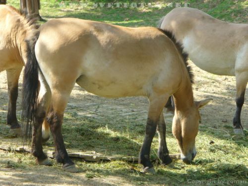 Pulsa aquí para ver la imagen a tamaño completo