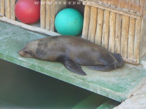 Pulsa aquí para ver la imagen a tamaño completo