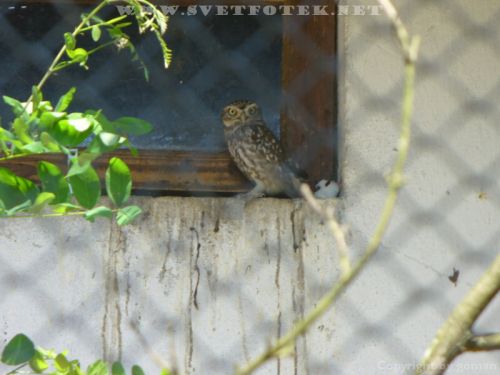 Klikněte pro zobrazení původního obrázku