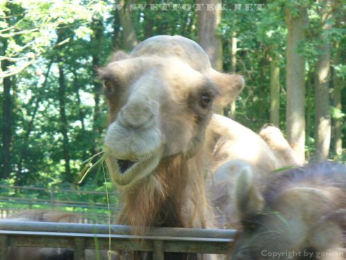 Pulsa aquí para ver la imagen a tamaño completo