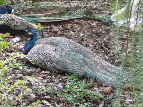 Pulsa aquí para ver la imagen a tamaño completo