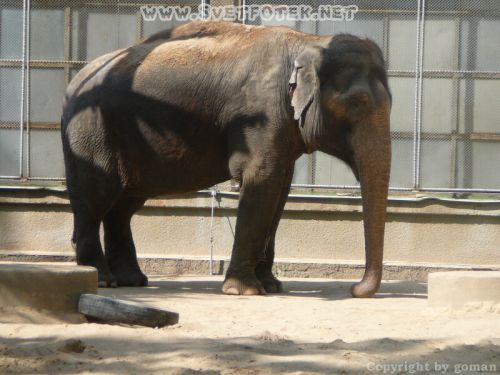 Click to view full size image