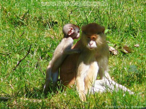 Pulsa aquí para ver la imagen a tamaño completo
