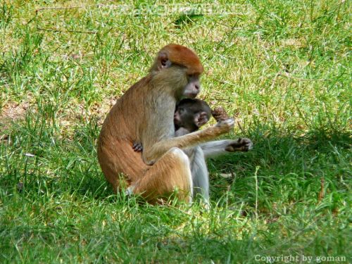 Pulsa aquí para ver la imagen a tamaño completo