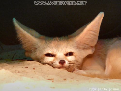 Pulsa aquí para ver la imagen a tamaño completo