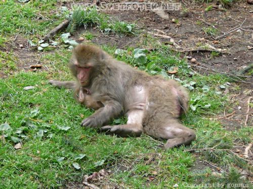 Pulsa aquí para ver la imagen a tamaño completo