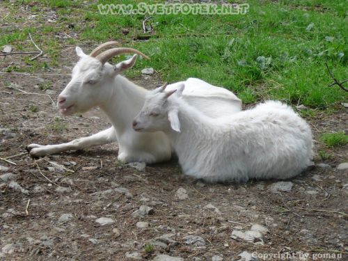 Pulsa aquí para ver la imagen a tamaño completo