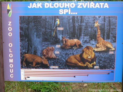 Pulsa aquí para ver la imagen a tamaño completo