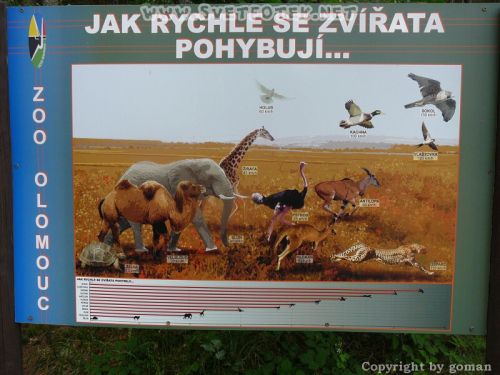 Pulsa aquí para ver la imagen a tamaño completo