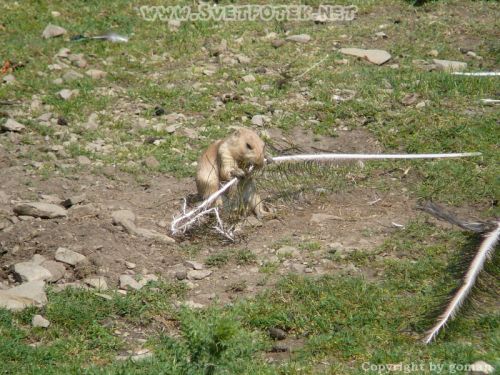 Pulsa aquí para ver la imagen a tamaño completo