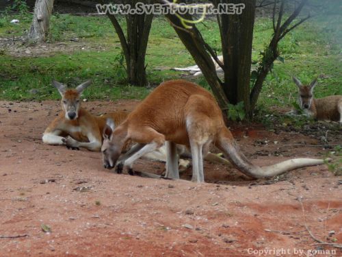 Pulsa aquí para ver la imagen a tamaño completo