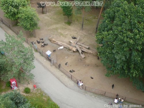 Klicken für Bild in voller Größe