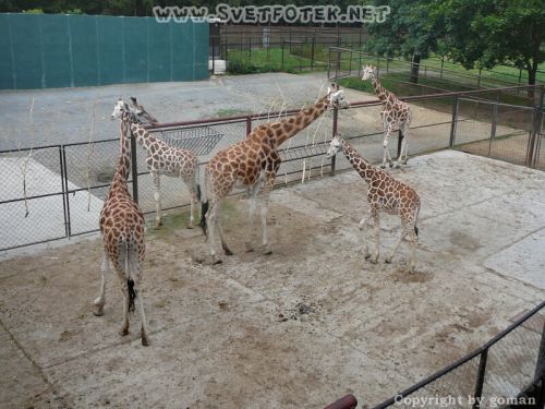 Pulsa aquí para ver la imagen a tamaño completo