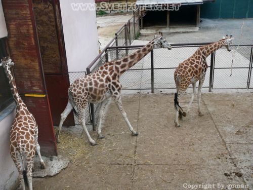 Pulsa aquí para ver la imagen a tamaño completo