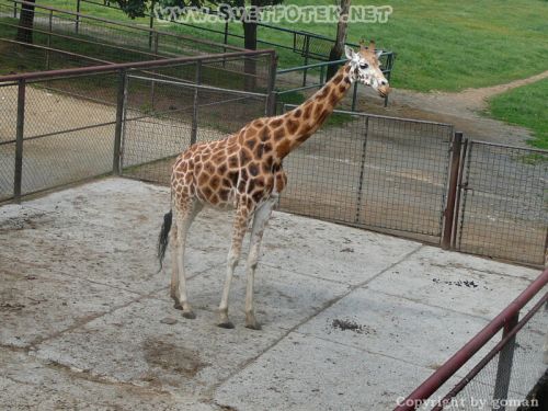 Pulsa aquí para ver la imagen a tamaño completo